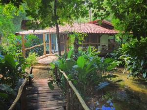 A garden outside Finca Vallescondido