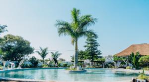 a swimming pool with a palm tree in a resort at The Gardens in Marracuene