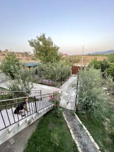 a dog sitting on a fence in a garden at The Saguramo House in Saguramo
