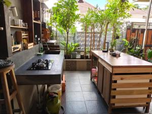 a kitchen with a sink and a counter with plants at Homestay Omah in Tabanan