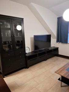 a living room with a tv and a black entertainment center at Apartments MIYABI in Maribor