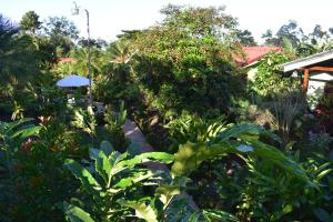 フォルトゥナにあるHotel Roca Negra Del Arenalの緑豊かな植物と木々が茂る庭園