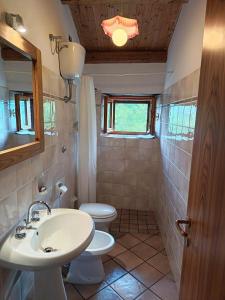 a bathroom with a sink and a toilet at Chalet Amandola in Moglietta