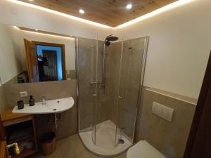 a bathroom with a shower and a sink at Landhaus Rieder in Mittersill +50 photos