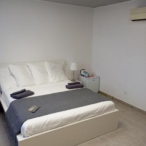 a bedroom with a large white bed in a room at Casa Théodore in San-Nicolao