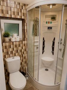a bathroom with a toilet and a shower at Holiday home Damian - Private pool in Ðurđekovec +14 photos