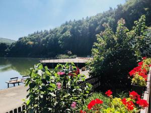 a view of a lake with flowers and a dock at Leveleki Eszter Üdülő in Bánk +19 photos