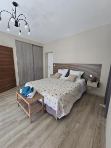 a bedroom with a large bed and a wooden floor at Superbe villa avec piscine in Bras +36 photos
