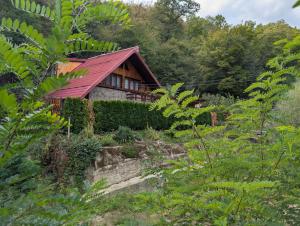 a house with a red roof in a forest at Casa din padure in Orşova