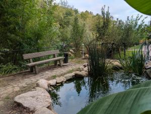 a bench sitting next to a pond in a park at Casa din padure in Orşova