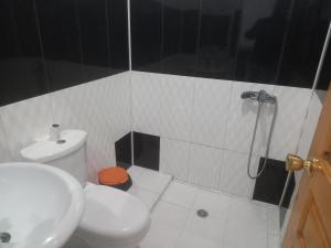 a bathroom with a toilet and a sink and a shower at Casa Pirinha in Portela
