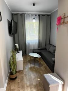 a living room with a couch and a table at W sosnowym lesie 2 in Lubniewice
