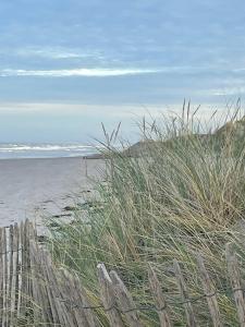a beach with tall grass and a wooden fence at Les épines in Quend-Plage
