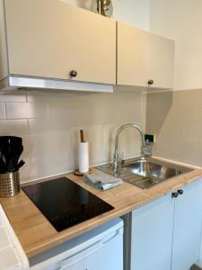 a kitchen with a sink and a counter top at Studio au cœur de Lourdes in Lourdes