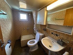 a small bathroom with a toilet and a sink at Chalet Montes in Lauterbrunnen +38 photos