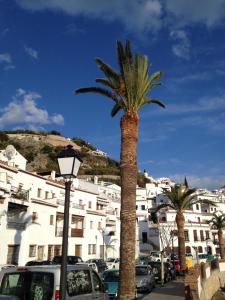 a palm tree in a parking lot in front of buildings at Los Bancales in Frigiliana