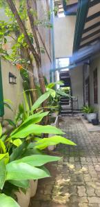 a group of plants in front of a building at Urban tropics in Colombo