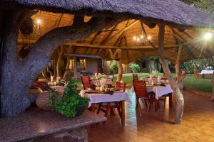 a restaurant with tables and chairs under a tree at Sable Ranch Thaba Khaya Lodge in Brits +89 photos