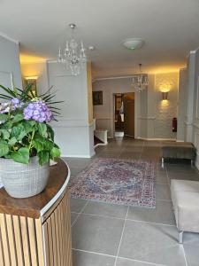 a lobby with a potted plant on a counter at Moocks Hotel in Altenau