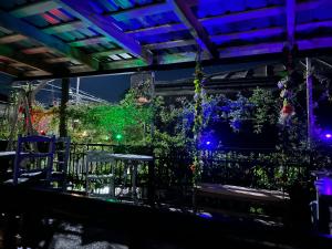 a view of a garden at night with lights at Kutaisi Family Museum in Kutaisi