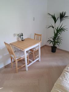 a dining room table with two chairs and a plant at Onder de regenboog in Egmond aan den Hoef +11 photos