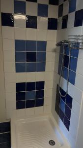 a bathroom with a shower with blue and white tiles at Votre cocon en Ardèche Verte in Saint-Prix +53 photos
