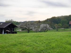 a barn in a field with trees in the background at Ferienwohnung Mutzenbauer in Bad Endorf