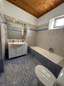 a bathroom with a toilet and a tub and a sink at Lemon tree apartment in Kyllini +17 photos