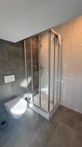 a bathroom with a toilet and a glass shower at Hotel Falken in Hechingen