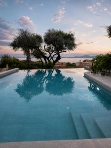 a swimming pool with a tree in the middle of it at Anemos Villa Barbati Corfu in Barbati