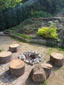 a garden with three logs and a fire place at Pod Maliníkem in Bedřichov