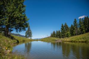 um rio com árvores no lado de uma colina em Ferienhäuser Tschofen Garfrescha em Sankt Gallenkirch