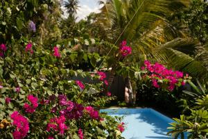 a garden with pink flowers and a swimming pool at URALSURF HOUSE in Weligama