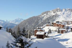 Chalet Enzian v zimě