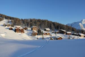 Chalet Enzian v zimě