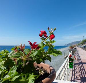 Φυσικό τοπίο κοντά σε αυτό το bed & breakfast