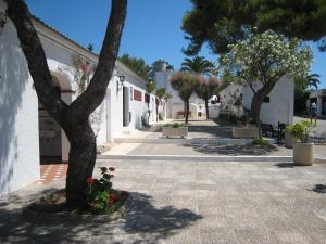 a courtyard with a tree and some flowers at Camping Sitges in Sitges