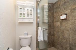 a bathroom with a toilet and a glass shower at Manitou Lodge 11 by Alpine Lodging Telluride in Telluride