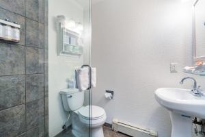 a bathroom with a toilet and a sink at Manitou Lodge 2 by Alpine Lodging Telluride in Telluride