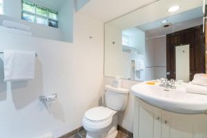a bathroom with a toilet and a sink and a mirror at Manitou Lodge 4 by Alpine Lodging Telluride in Telluride +12 photos