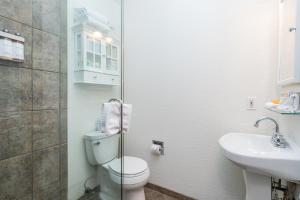a bathroom with a toilet and a sink at Manitou Lodge 6 by Alpine Lodging Telluride in Telluride
