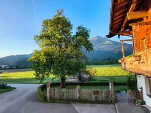 a tree in front of a house with a fence at biohof Stiedler in Sankt Johann in Tirol