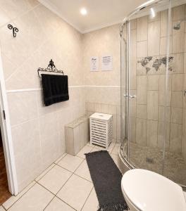 a bathroom with a shower and a toilet at Zhantique Guest House 1- Unit 5 in Boksburg