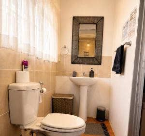 a bathroom with a toilet and a sink and a mirror at Zhantique Guest House 1- Unit 4 in Boksburg