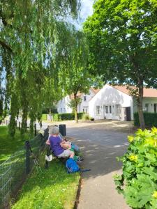 a woman sitting on the grass next to a fence at Ferienhaus an der Allee in Kalkar