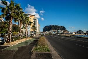an empty street with palm trees and a building at Hotel Aroha in Seogwipo