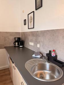 a kitchen with a sink and a counter top at Stay&Work Döbeln - Hermsdorfer Straße in Döbeln +18 photos