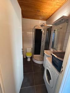 a bathroom with a washer and a sink and a washing machine at Studio à Pontarlier in Pontarlier