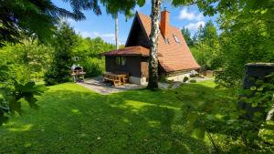 a house in the middle of a green yard at Koča Rakitna Forest Chalet with Sauna in Preserje