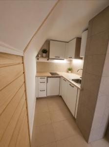 a small kitchen with white cabinets and a sink at Koča Rakitna Forest Chalet with Sauna in Preserje
